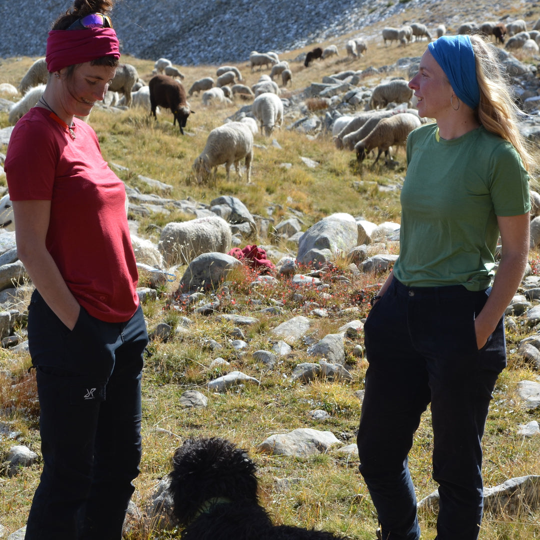 t-shirt en mérinos français pour la randonnée par transhumance, fait en France